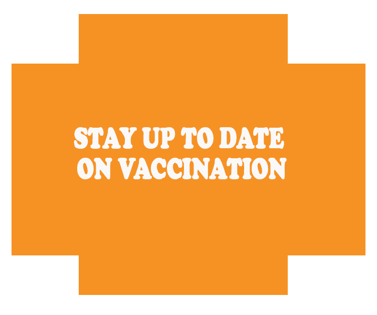 Stay up to date on vaccination